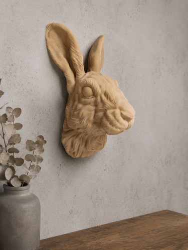 Rabbit head ornament - head, wall