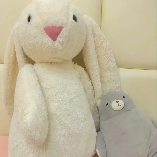 Kawaii long ear - ear, rabbit