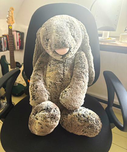 Jellycat woodland bunny plush - jellycat,