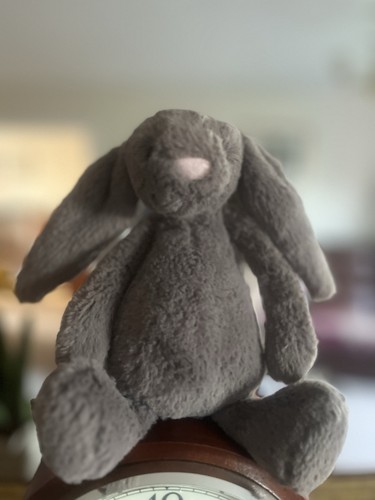 Gorgeous little truffle - gorgeous,