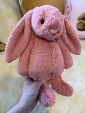 NWT Medium Bashful Sorrel