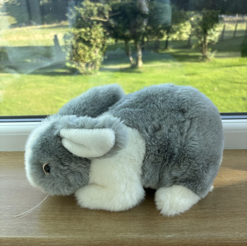 Grey white bunny - white,
