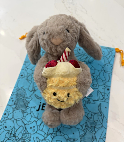 Plush bunny rabbit - bunny, soft