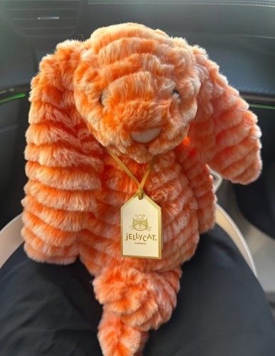 Jellycat fizzleskip bunny soft - jellycat,