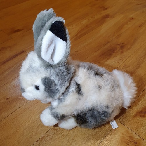 Realistic bunny rabbit - bunny,
