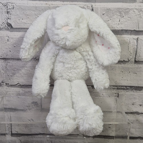 Next bunny rabbit best - next, my