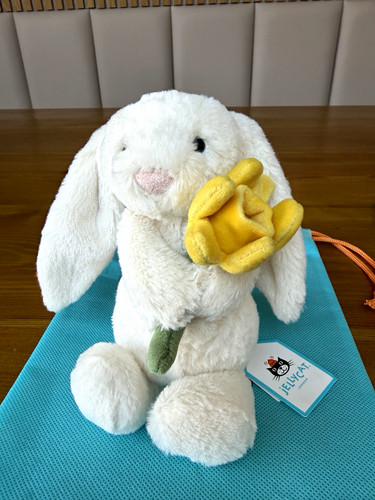 Rare retired jellycat - rare, &